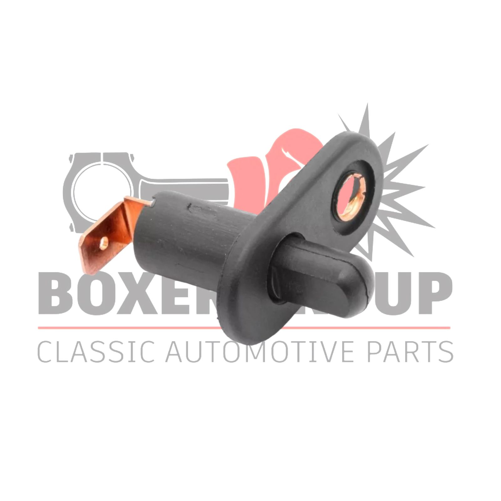 Switch for Courtesy Light