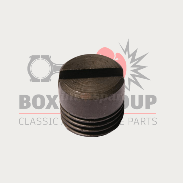 By Pass Tube Blanking Plug for Cylinder Head