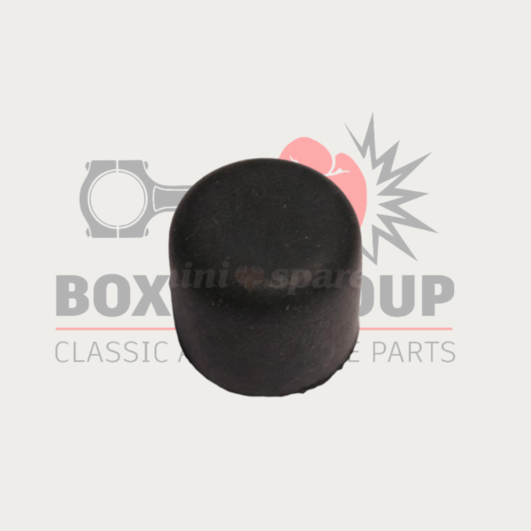 By Pass Hose Blanking Cap